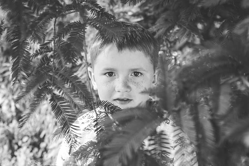 boy at pittsburgh phipps in tree for family photo session