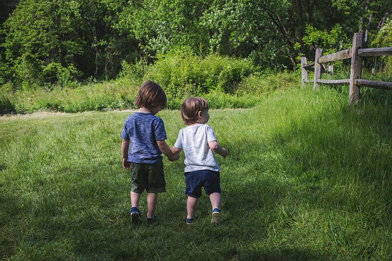 brothers holding hands at beechwood nature center pittsburgh photo session