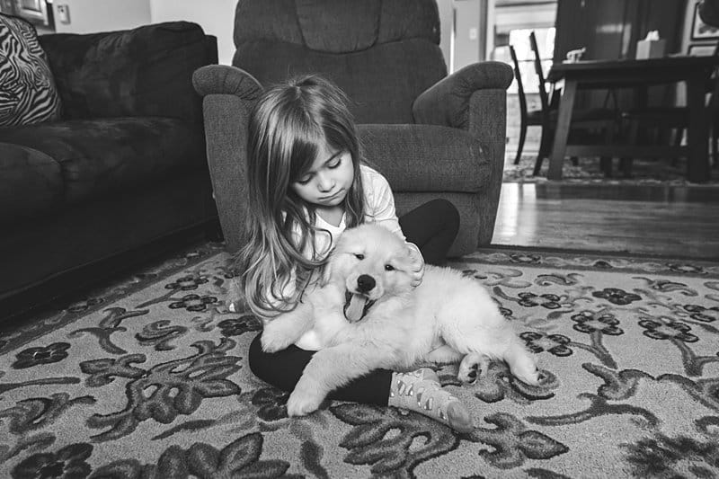 little girl with golden puppy in living room