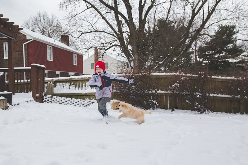 puppy chasing boy in snow