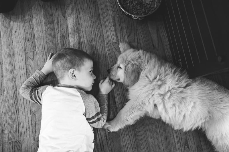 boy laying on floor with puppy