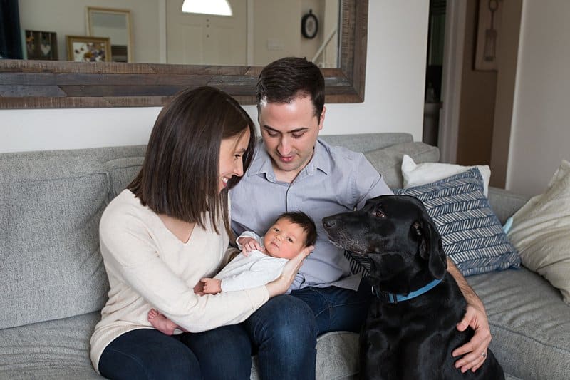 mom and dad holding newborn son on couch in home with dog