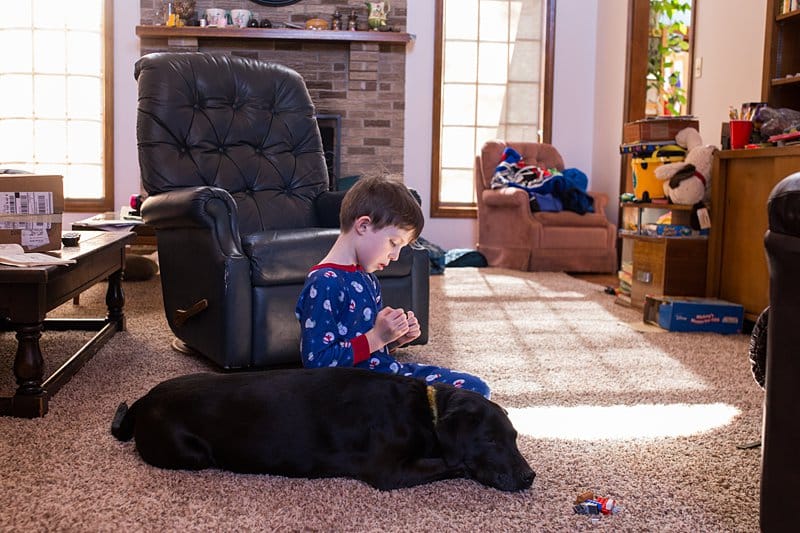 boy petting dog in pittsburgh park home