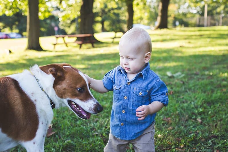 little boy and dog at carnegie park
