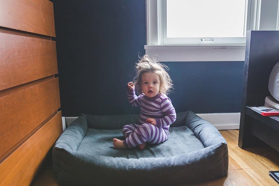 toddler playing on dog bed
