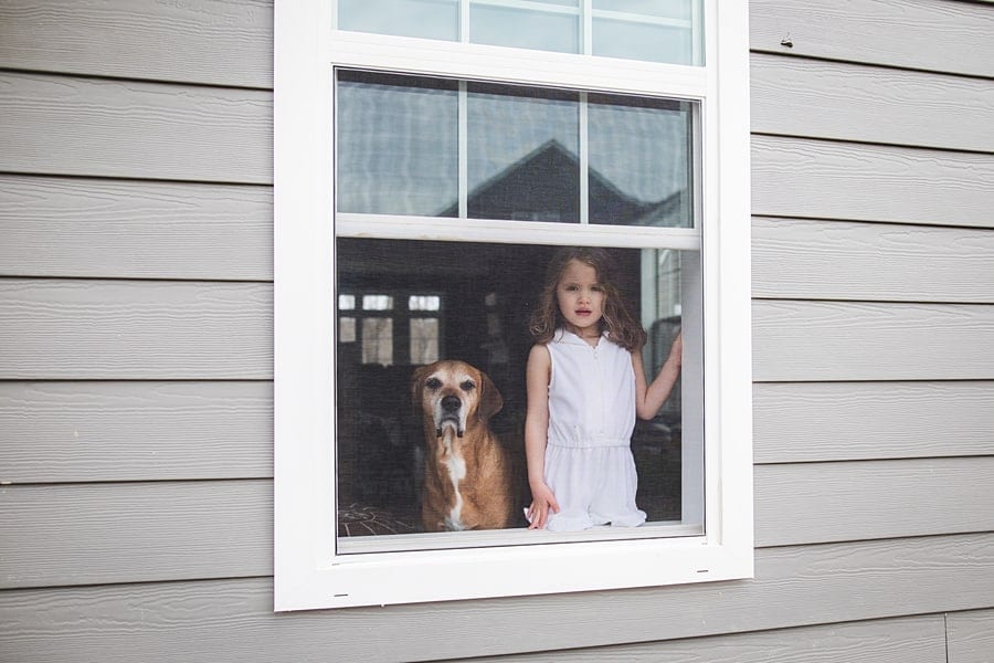 little girl and dog in window for pittsburgh family photo session