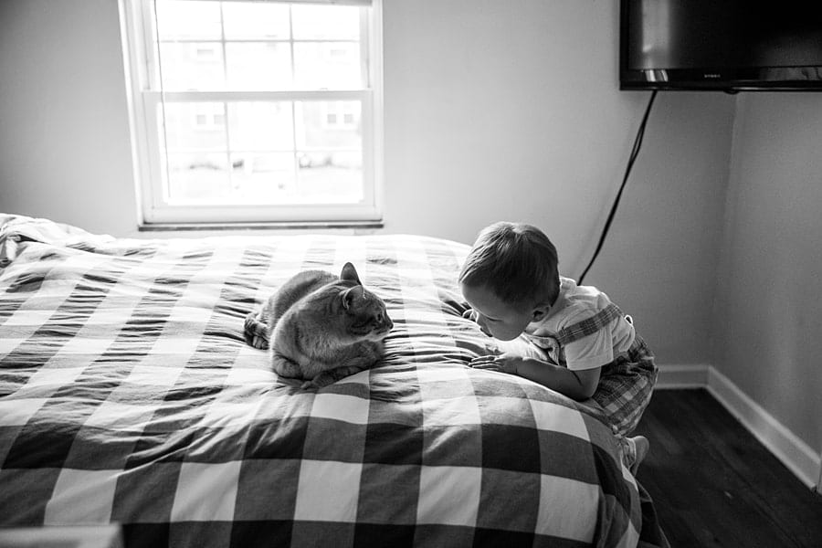 toddler and cat on bed in parents room