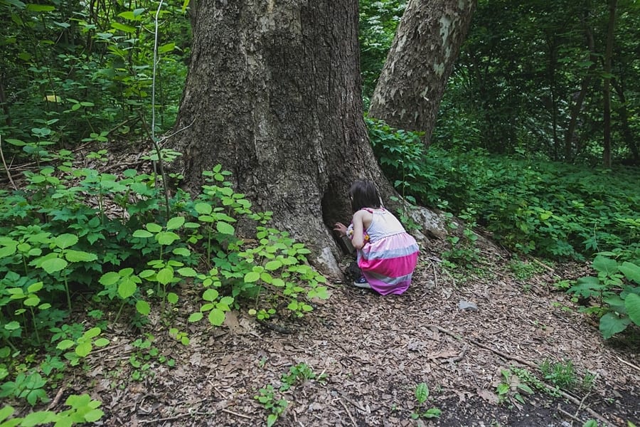 daughter looking at fairy houses in Frick park pittsburgh