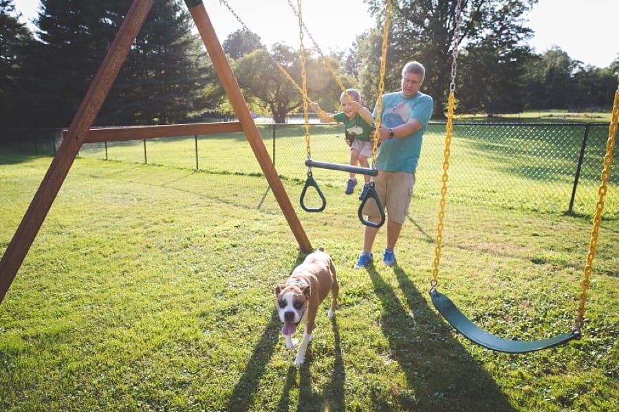 dad pushing son on swing in backyard with dog in sunset