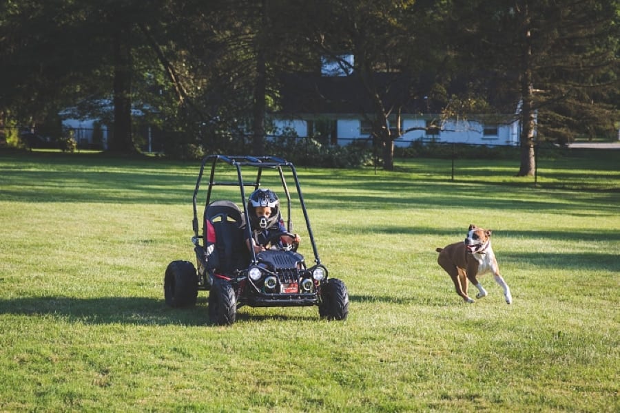 brothers riding a go cart in their backyard with a dog chasing them
