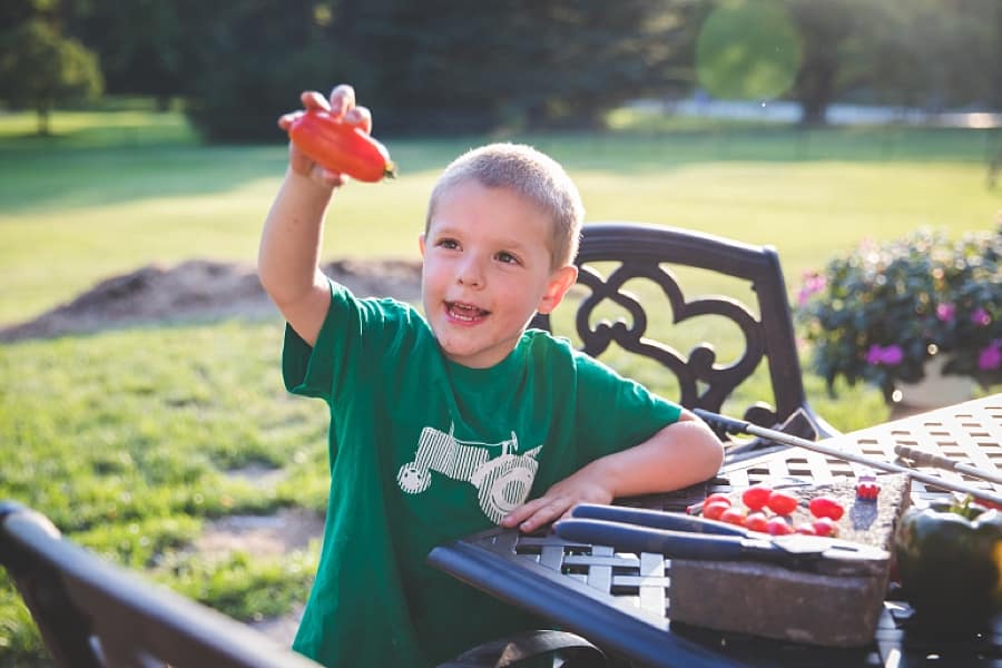 boy holds a tomato in backyard