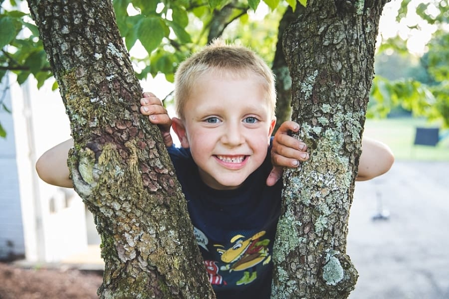 boy in tree in front of o'hara home
