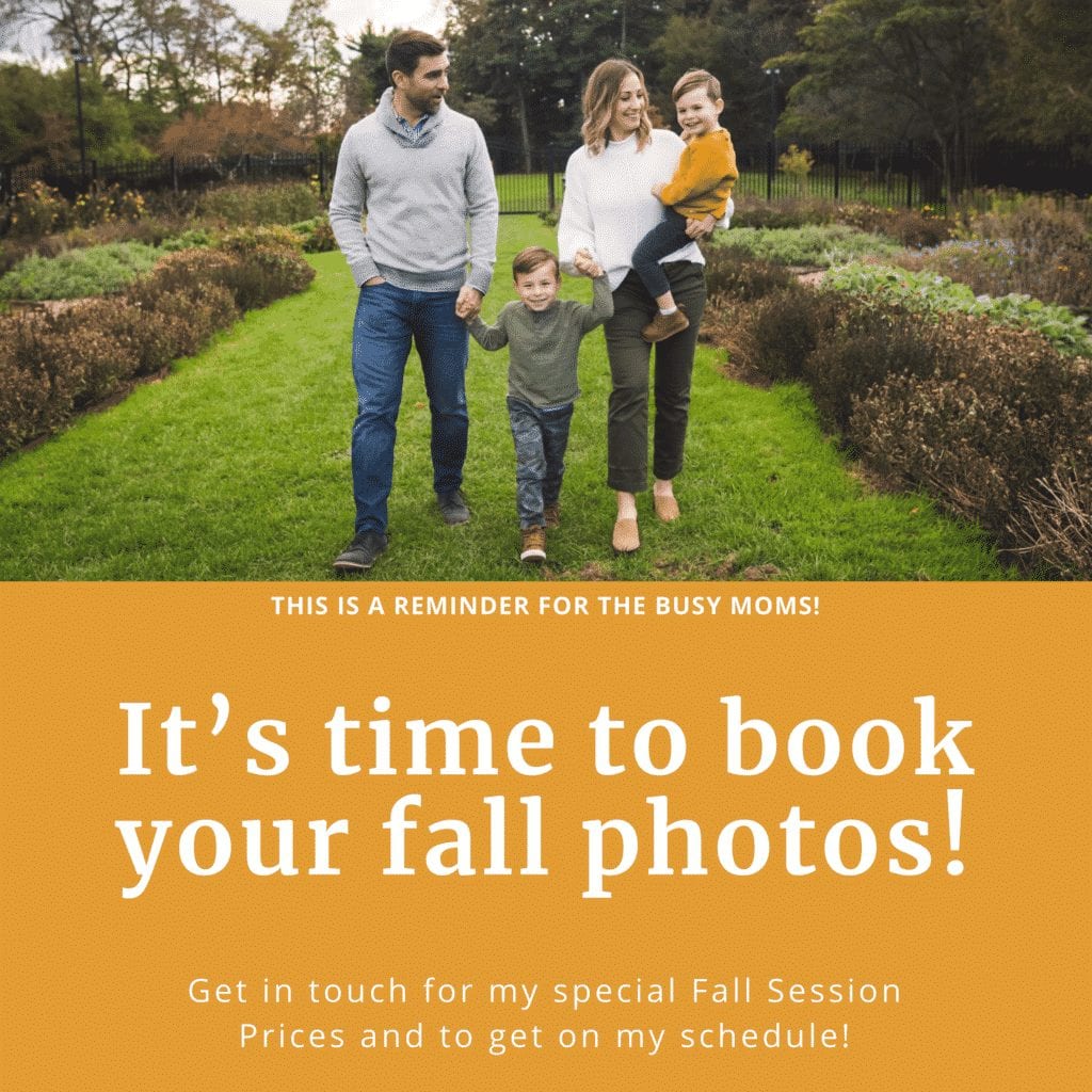 Fall foliage family portraits in pittsburgh 