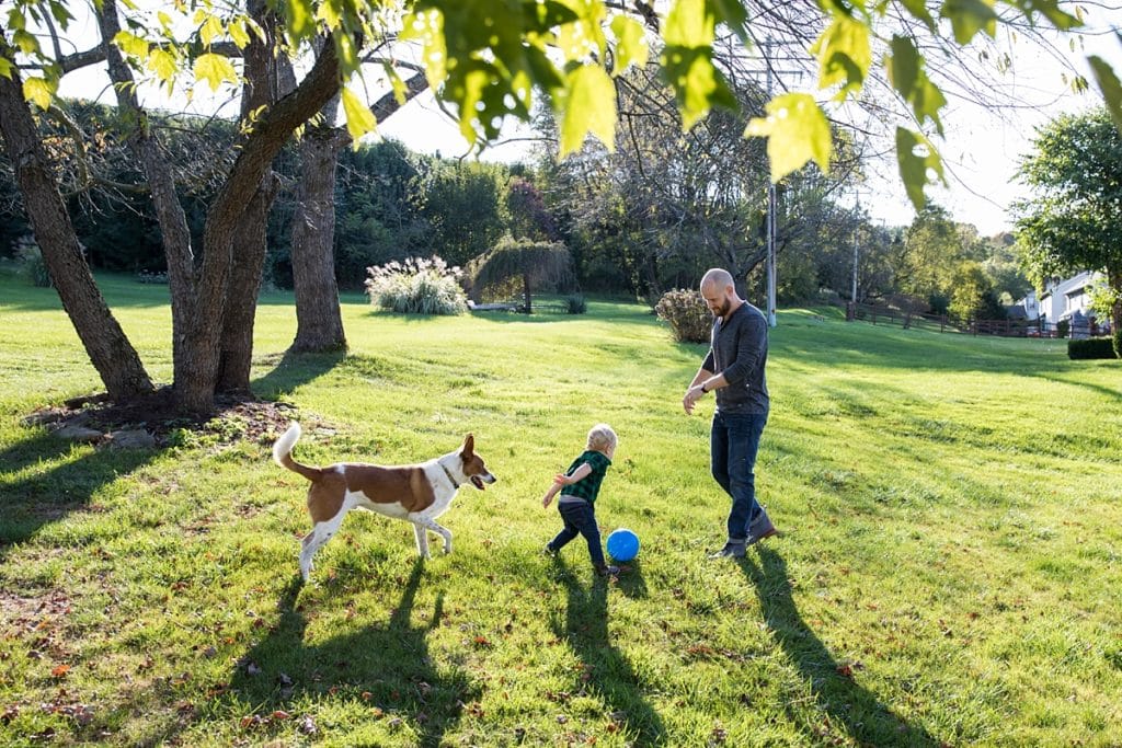 dad son and dog in backyard at sunset 20 activities to do during your family session at home