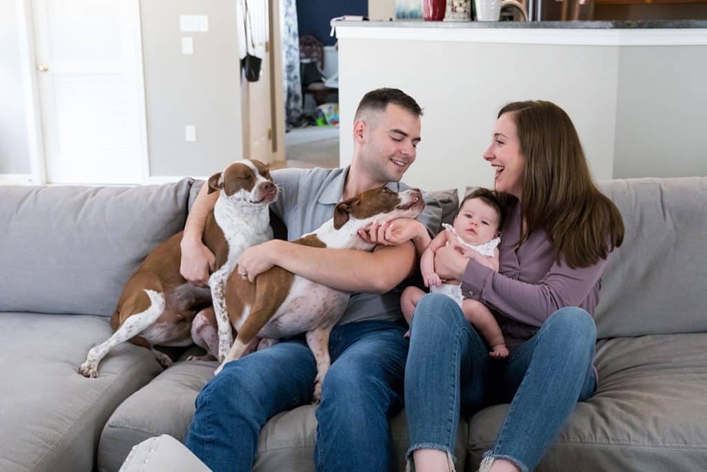 mom dad new baby and two dogs on couch for newborn session