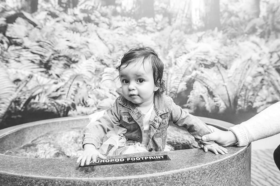 toddler holding dinosaur at carnegie museum