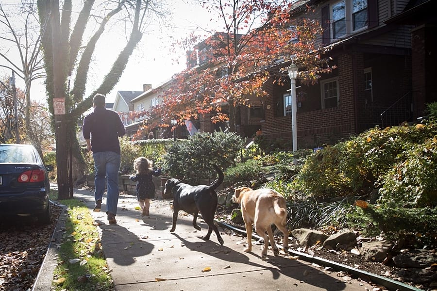 dad, toddler and dogs running down regent square sidewalk in front of home for family photo session