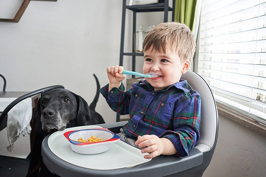 toddler in high chair with dog