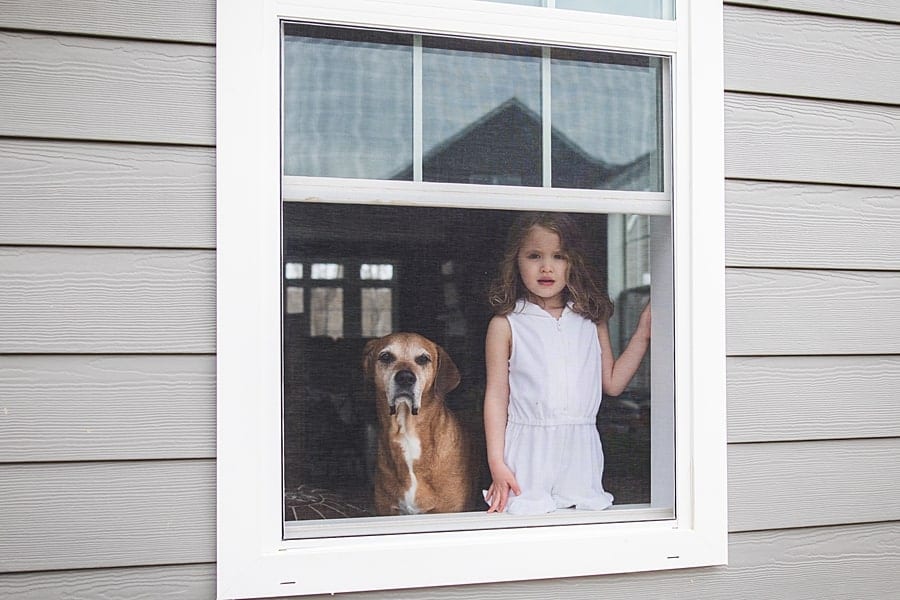 little girl in window with family dog