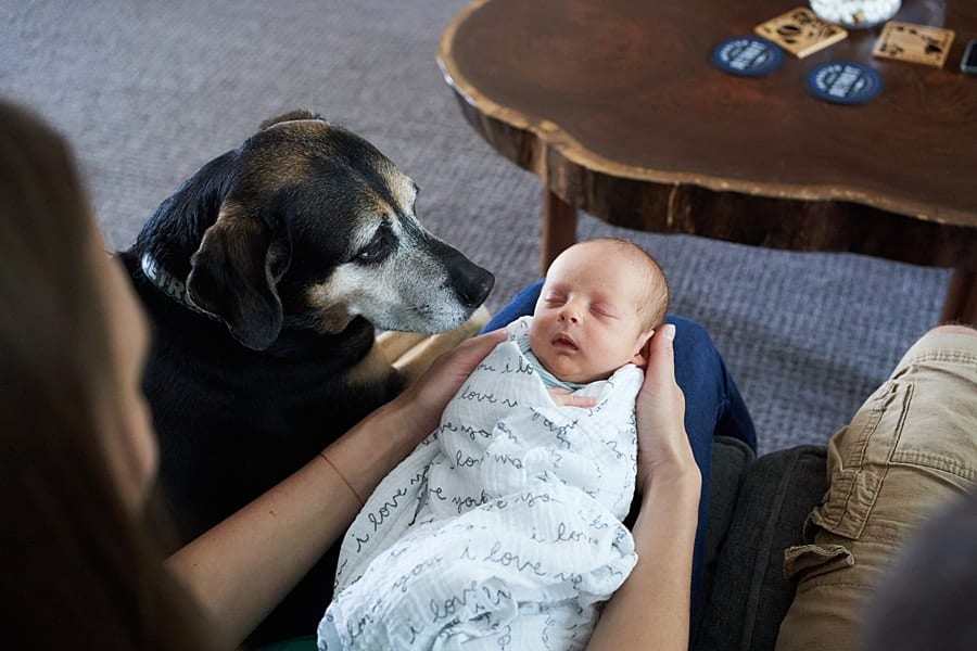 mom holding newborn son on living room couch with dog