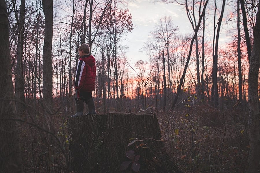 Little boy and redcoats standing on stump a very large tree with the sunset in the woods behind him