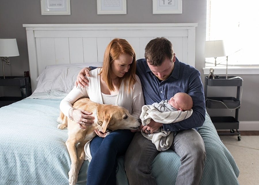 Canfield newborn photographer taking pictures of mom, dad, dog and baby on bed in home