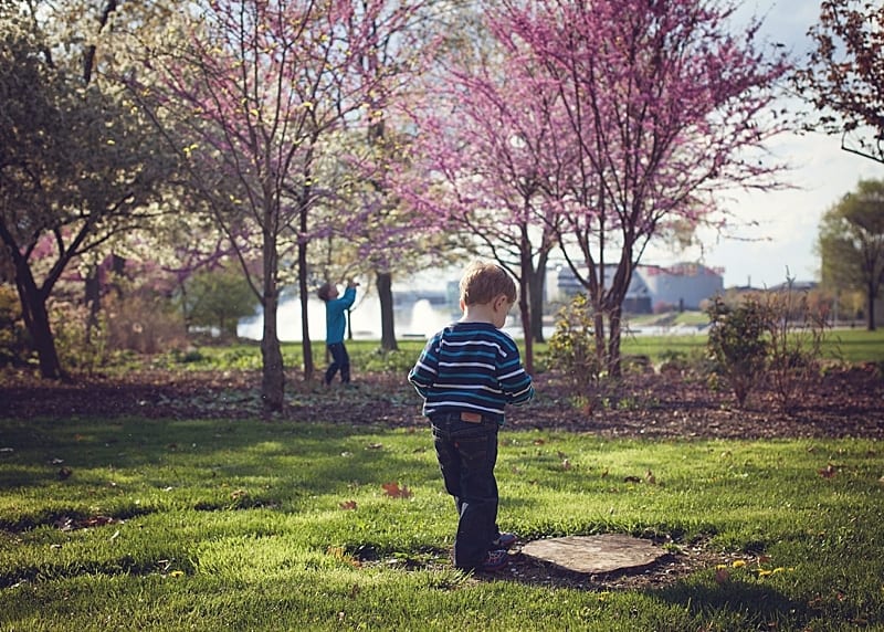 brothers with flowering Blossoming trees for Photo Sessions in Pittsburgh at point state park