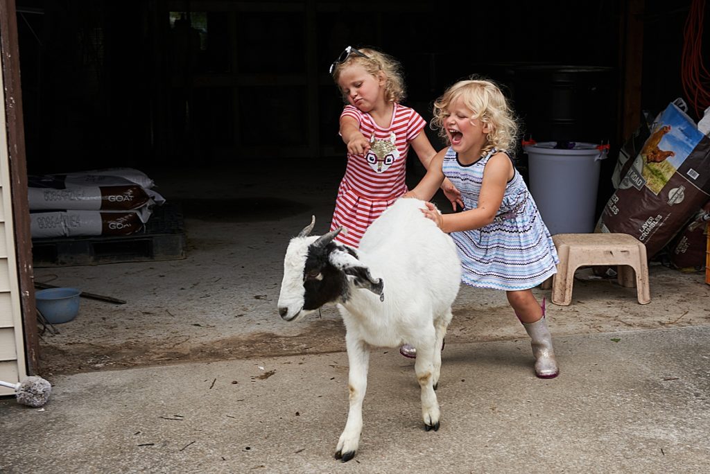 family photo session beaver county twin girls with goats in the backyard