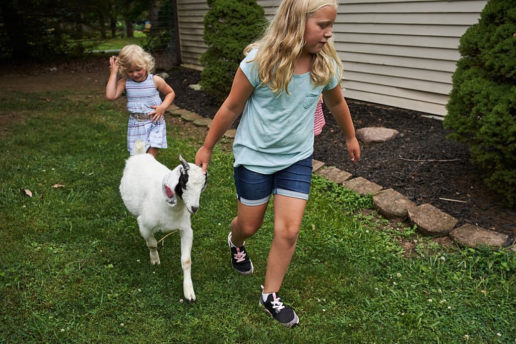 family photo session beaver county girls walking with goat