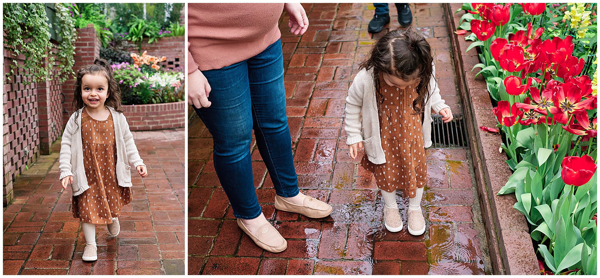 girl in a puddle at Phipps conservatory in pittsburgh for family photo session 