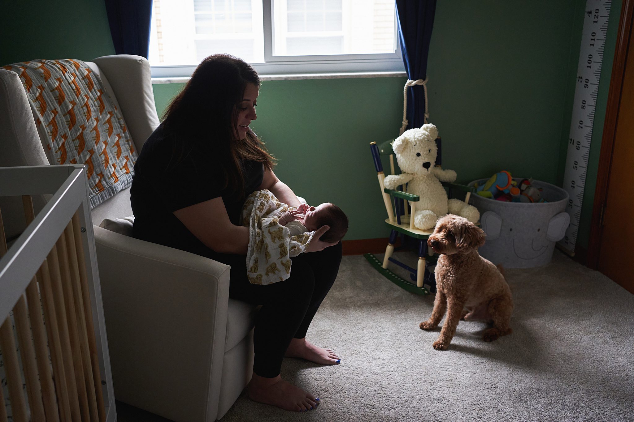 dog watching mom and baby in nursery of north hills home for a newborn photo session 