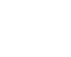 best newborn photographers in Pittsburgh Expertise logo award