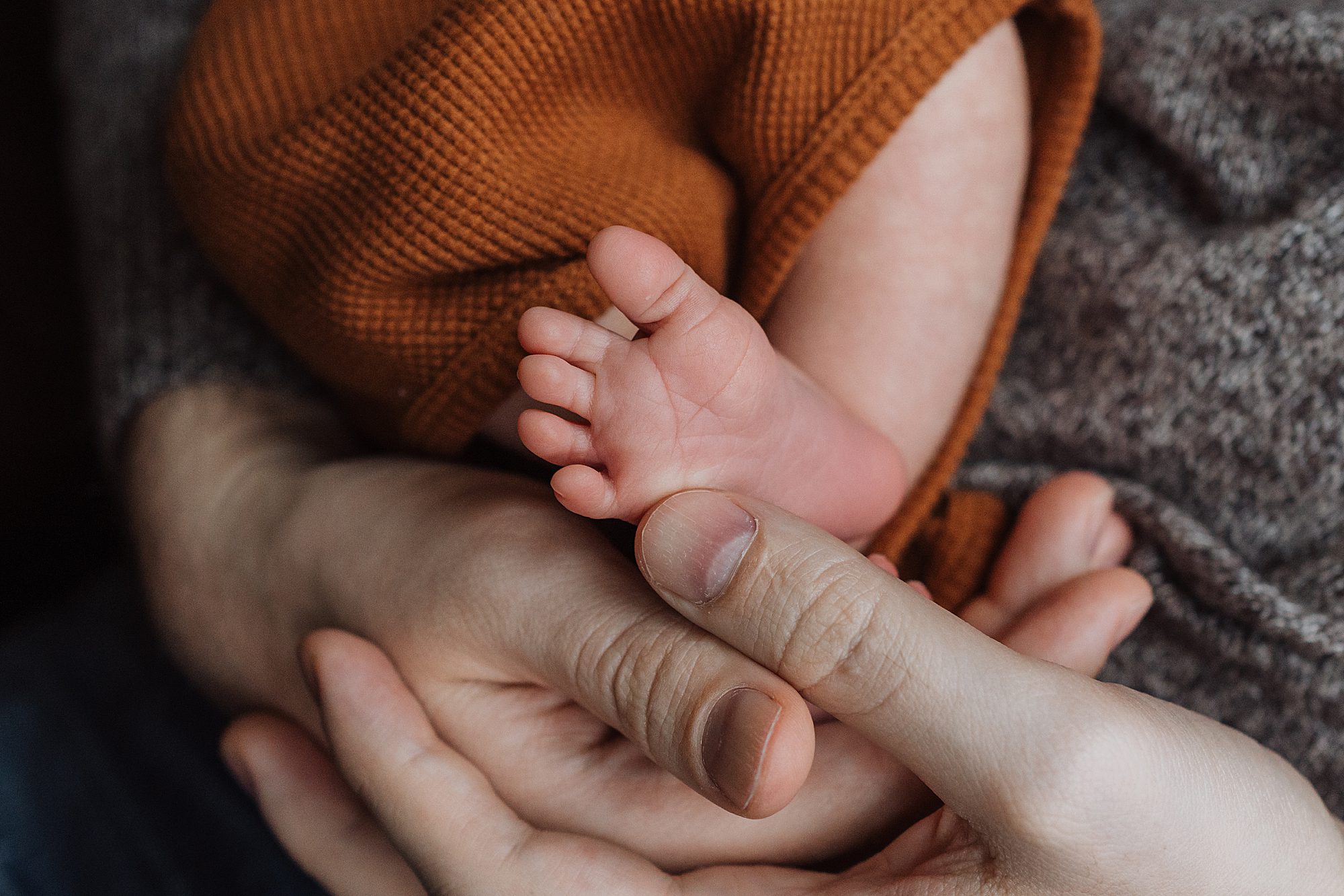 An adult's hands cradling a baby's tiny, bare foot.