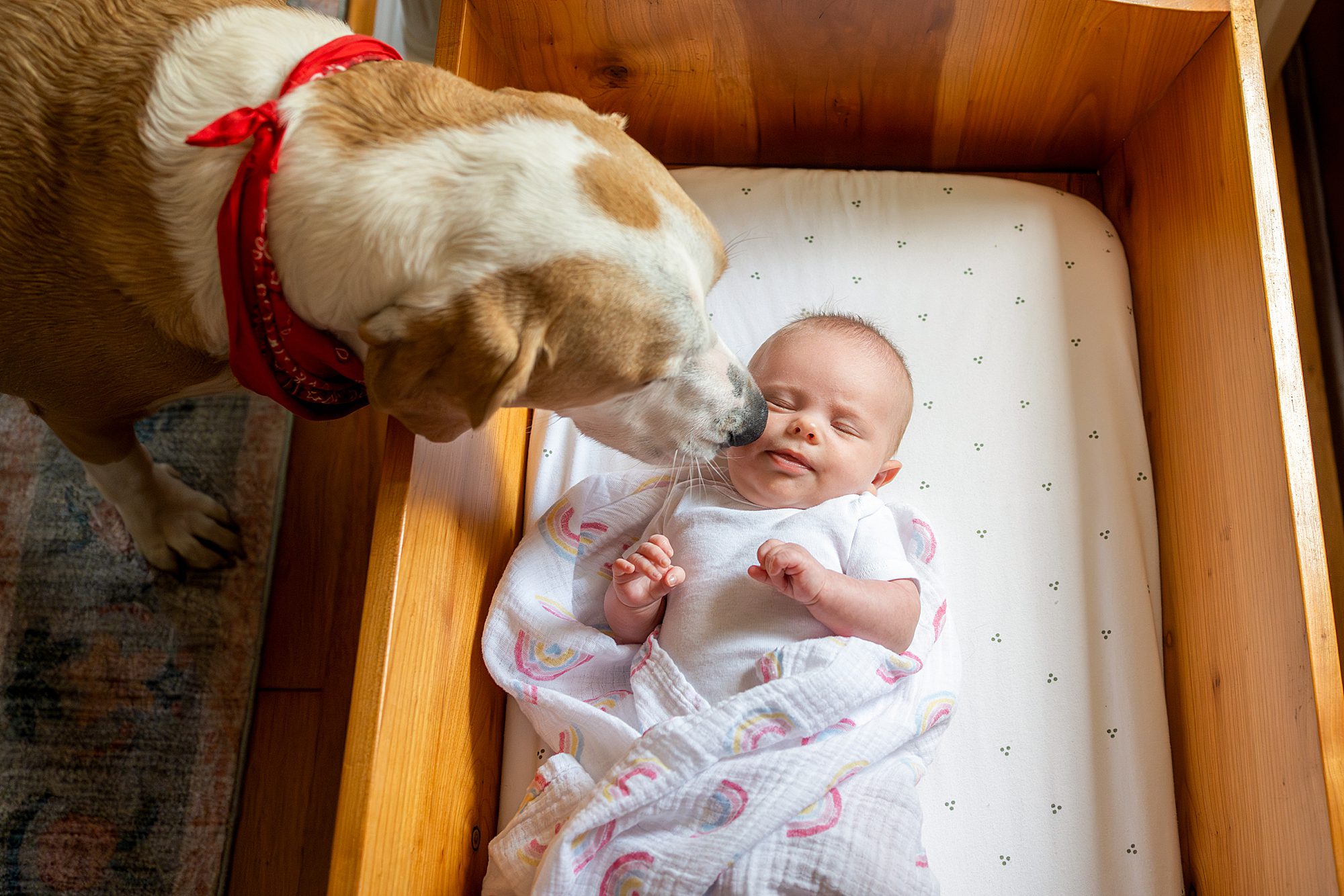A dog gently sniffing a sleeping baby in a wooden crib.