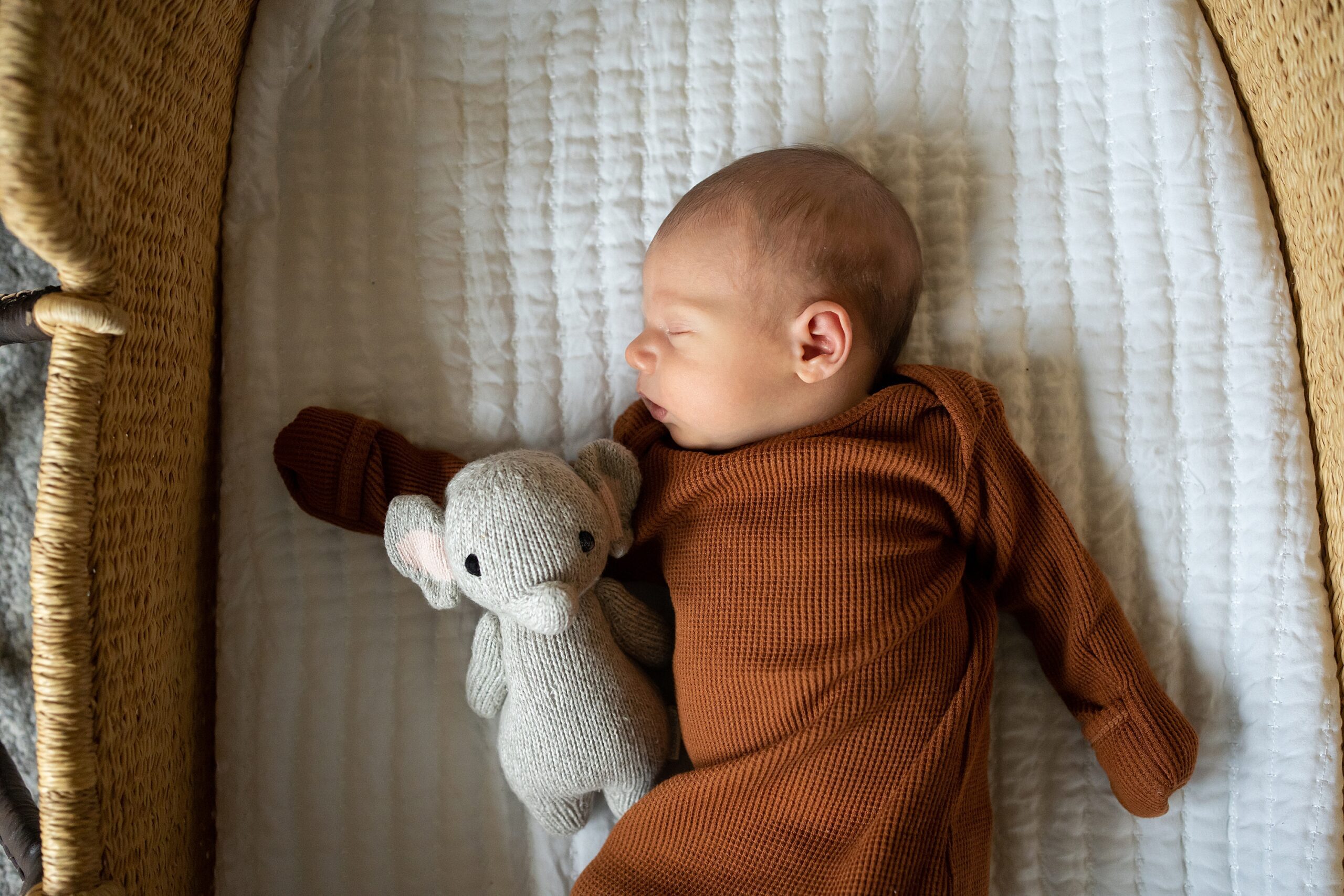 A newborn baby sleeping peacefully in a bassinet with a stuffed animal by its side.