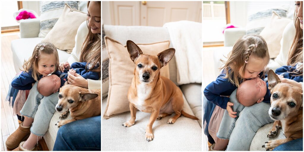 A young girl gently interacts with a baby on a couch, with a small brown dog nearby. The setting is a cozy, light-filled room.