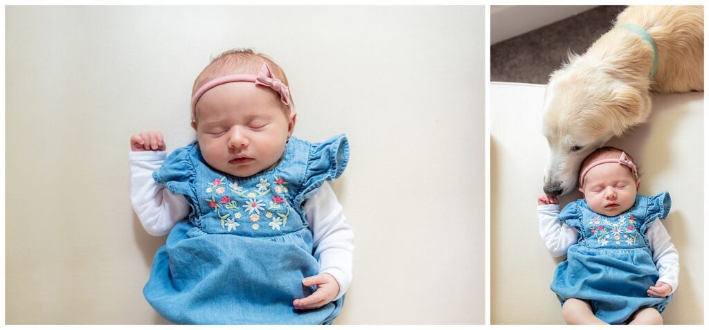 A baby wearing a blue dress with floral embroidery sleeps on a light surface. In a second image, a dog gently sniffs the baby's head.